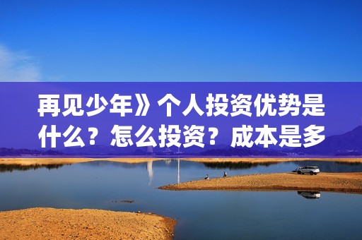 再见少年》个人投资优势是什么？怎么投资？成本是多少？(再见少年简介)