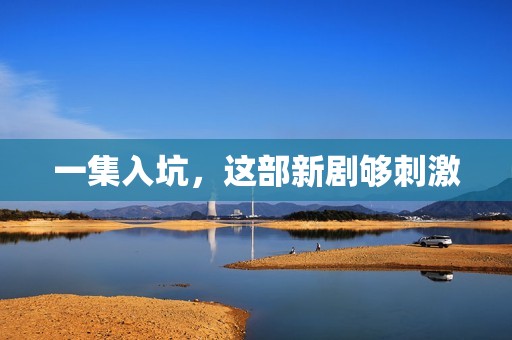 一集入坑，这部新剧够刺激