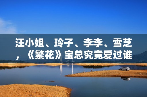 汪小姐、玲子、李李、雪芝，《繁花》宝总究竟爱过谁？