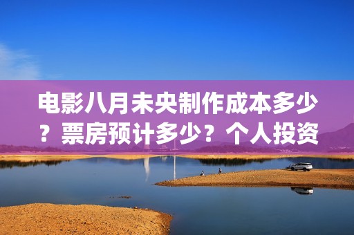 电影八月未央制作成本多少？票房预计多少？个人投资份额真实吗？(电影八月未央制片人是谁)