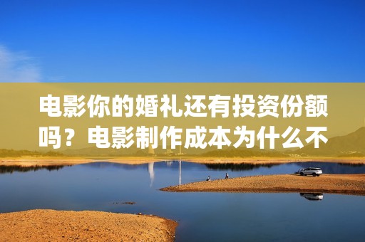 电影你的婚礼还有投资份额吗？电影制作成本为什么不同？哪种是真的？(你的婚礼dvd)