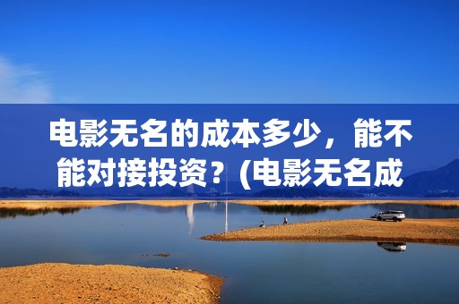 电影无名的成本多少，能不能对接投资？(电影无名成本是多少)
