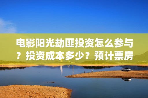 电影阳光劫匪投资怎么参与？投资成本多少？预计票房(阳光劫匪片花)