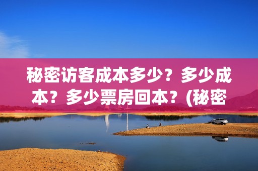 秘密访客成本多少？多少成本？多少票房回本？(秘密访客访客是谁)