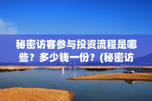秘密访客参与投资流程是哪些？多少钱一份？(秘密访客参与公司)