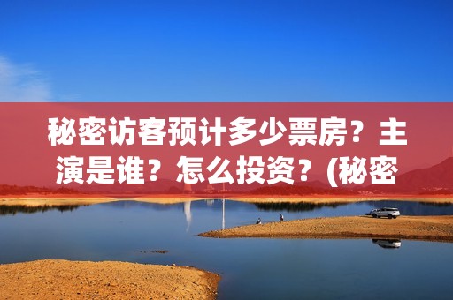 秘密访客预计多少票房？主演是谁？怎么投资？(秘密访客访客是谁)