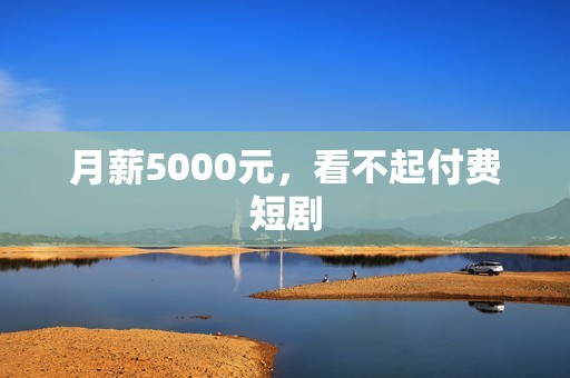 月薪5000元，看不起付费短剧
