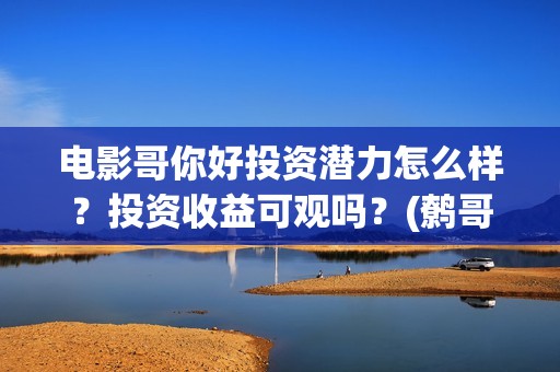 电影哥你好投资潜力怎么样？投资收益可观吗？(鹩哥你好mp3)