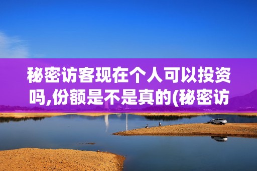 秘密访客现在个人可以投资吗,份额是不是真的(秘密访客没懂)