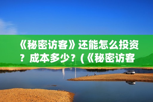 《秘密访客》还能怎么投资？成本多少？(《秘密访客》看不懂)