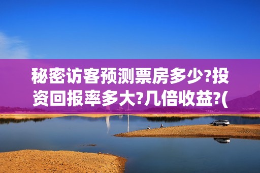 秘密访客预测票房多少?投资回报率多大?几倍收益?(秘密访客有获奖吗)