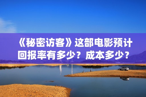 《秘密访客》这部电影预计回报率有多少？成本多少？(秘密访客到底演了个啥)
