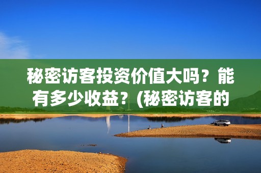 秘密访客投资价值大吗？能有多少收益？(秘密访客的票价)