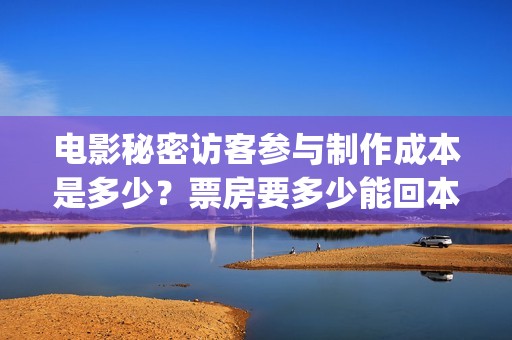 电影秘密访客参与制作成本是多少？票房要多少能回本？(电影秘密访客介绍)