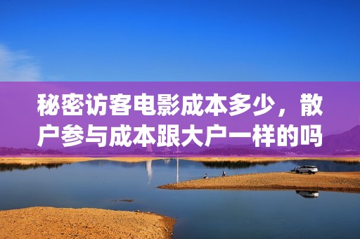 秘密访客电影成本多少，散户参与成本跟大户一样的吗？(电影 秘密访客)