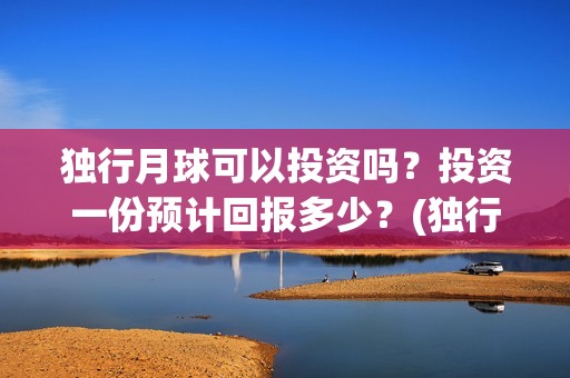 独行月球可以投资吗？投资一份预计回报多少？(独行月球结局什么意思)