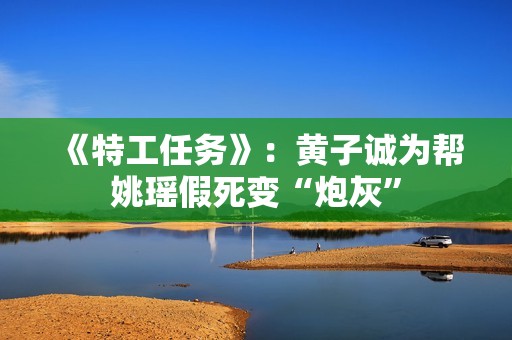 《特工任务》：黄子诚为帮姚瑶假死变“炮灰”