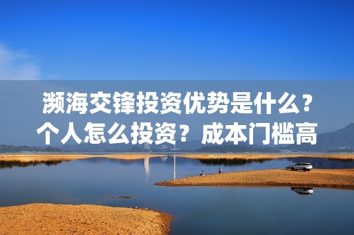 濒海交锋投资优势是什么？个人怎么投资？成本门槛高吗？(濒海交锋投资成本)