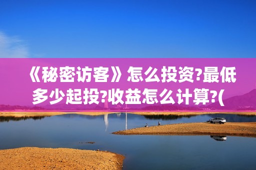 《秘密访客》怎么投资?最低多少起投?收益怎么计算?(秘密访客详细解析)