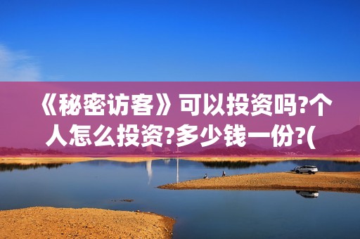 《秘密访客》可以投资吗?个人怎么投资?多少钱一份?(《秘密访客》可以看吗)