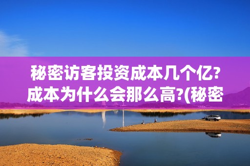 秘密访客投资成本几个亿?成本为什么会那么高?(秘密访客深意)