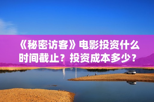 《秘密访客》电影投资什么时间截止？投资成本多少？(秘密访客完整电影)