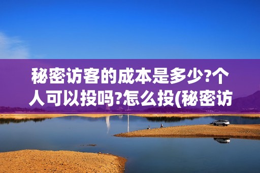 秘密访客的成本是多少?个人可以投吗?怎么投(秘密访客制作成本)