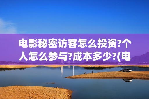 电影秘密访客怎么投资?个人怎么参与?成本多少?(电影秘密访客怎么样好看)
