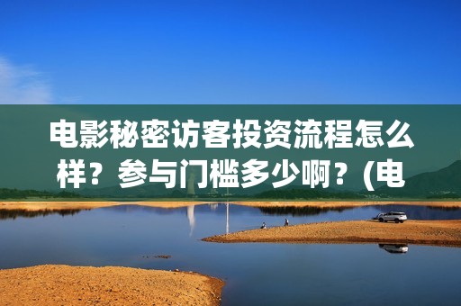 电影秘密访客投资流程怎么样？参与门槛多少啊？(电影秘密访客投资风险大吗)