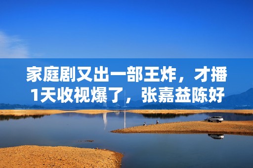 家庭剧又出一部王炸，才播1天收视爆了，张嘉益陈好演技惊艳四座