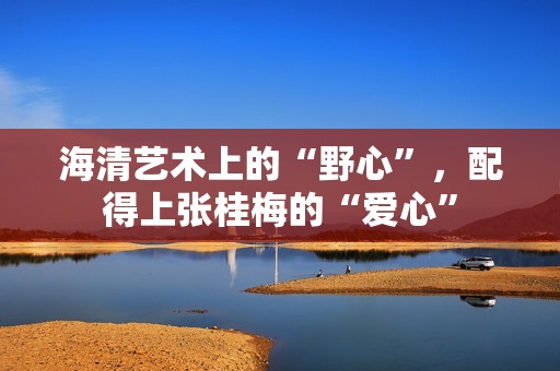 海清艺术上的“野心”，配得上张桂梅的“爱心”