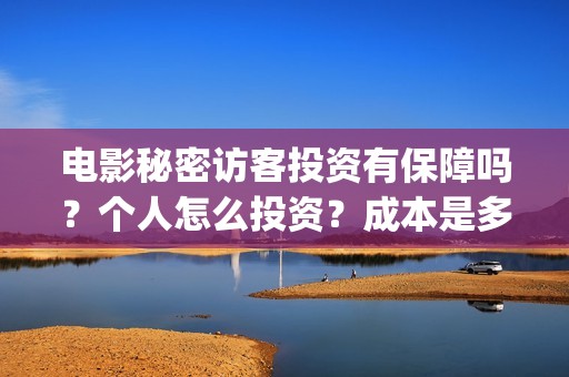 电影秘密访客投资有保障吗？个人怎么投资？成本是多少？(秘密访客电影票)