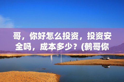 哥，你好怎么投资，投资安全吗，成本多少？(鹩哥你好mp3)