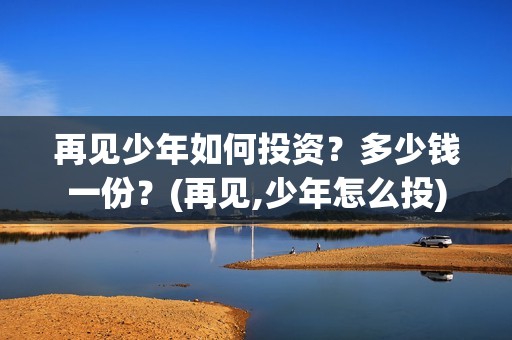 再见少年如何投资？多少钱一份？(再见,少年怎么投)