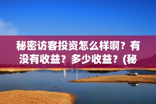 秘密访客投资怎么样啊？有没有收益？多少收益？(秘密访客成本)