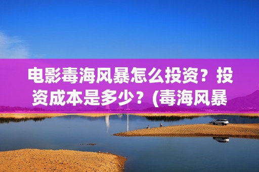 电影毒海风暴怎么投资？投资成本是多少？(毒海风暴上映时间)