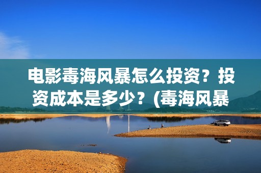 电影毒海风暴怎么投资？投资成本是多少？(毒海风暴 电影)