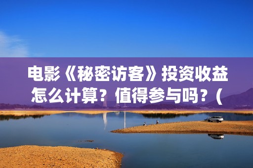 电影《秘密访客》投资收益怎么计算？值得参与吗？(电影《秘密访客》在线观看)