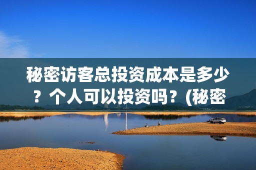 秘密访客总投资成本是多少？个人可以投资吗？(秘密访客总投资多少钱)
