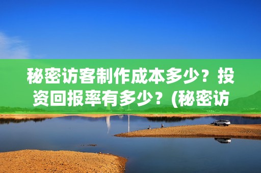 秘密访客制作成本多少？投资回报率有多少？(秘密访客怎么样)