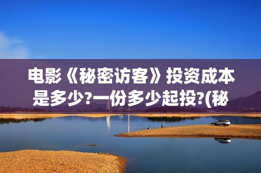 电影《秘密访客》投资成本是多少?一份多少起投?(秘密访客完整剧情)