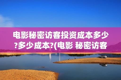 电影秘密访客投资成本多少?多少成本?(电影 秘密访客)