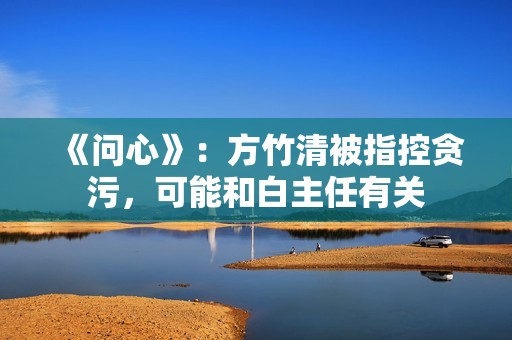 《问心》：方竹清被指控贪污，可能和白主任有关
