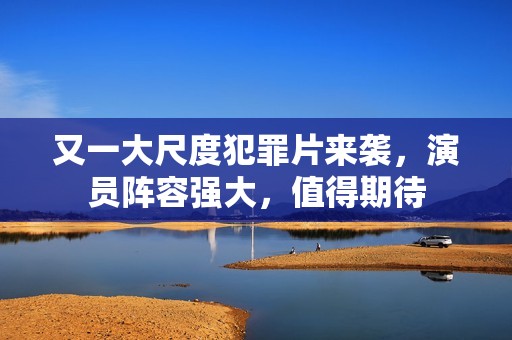 又一大尺度犯罪片来袭，演员阵容强大，值得期待