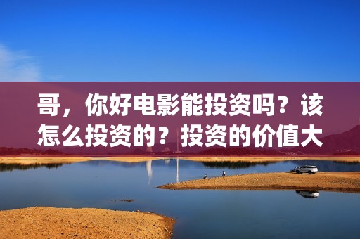 哥，你好电影能投资吗？该怎么投资的？投资的价值大吗？(哥哥你好牛)