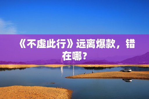 《不虚此行》远离爆款，错在哪？