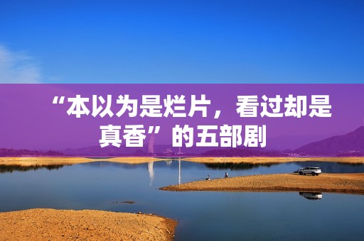 “本以为是烂片，看过却是真香”的五部剧