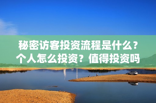 秘密访客投资流程是什么？个人怎么投资？值得投资吗？(秘密访客投资流程图)