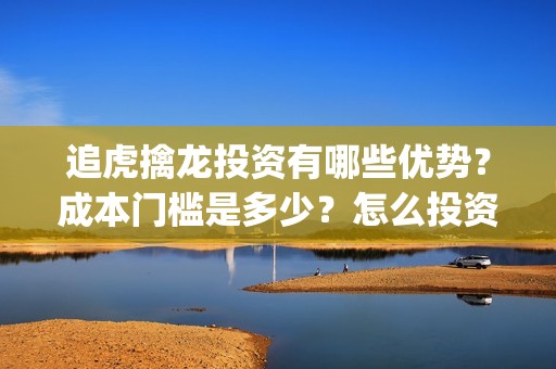 追虎擒龙投资有哪些优势？成本门槛是多少？怎么投资？投资流程是什么？(追虎擒龙投资价值)