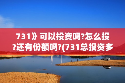 731》可以投资吗?怎么投?还有份额吗?(731总投资多少)